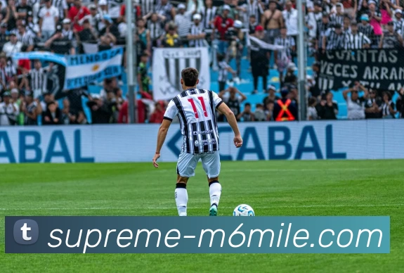 App Interface Preview