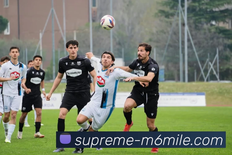 米乐体育APP 封面图